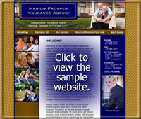 Get Your Own Website Today